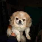 Alix